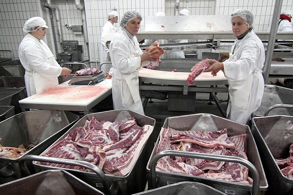 A Pápai Hús Kft. a heti sertésvágások számát 1200-ról 2800-ra növelte egy hét alatt
