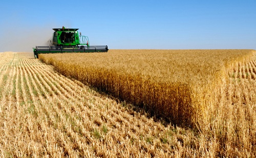 2015 a mezőgazdasági innováció éve